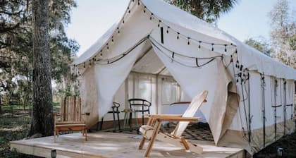 Glamp in a Florida Orange Grove "Citrus" Tent
