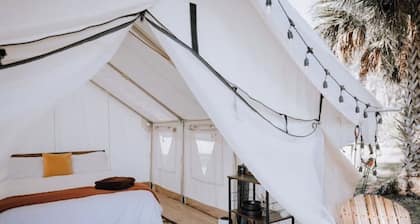 Glamping Dragonfly Tent