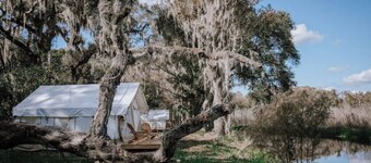 Glamp on a Florida Orange Grove "Butterfly" Tent