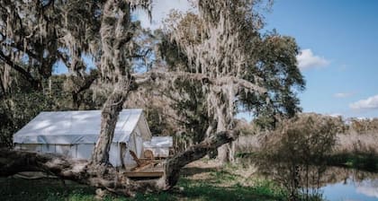 Glamp on a Florida Orange Grove "Butterfly" Tent