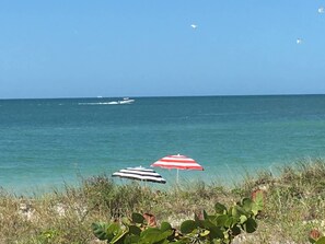 On the beach - Blue Water Beachside Suite 3 (Indian Rocks Beach)