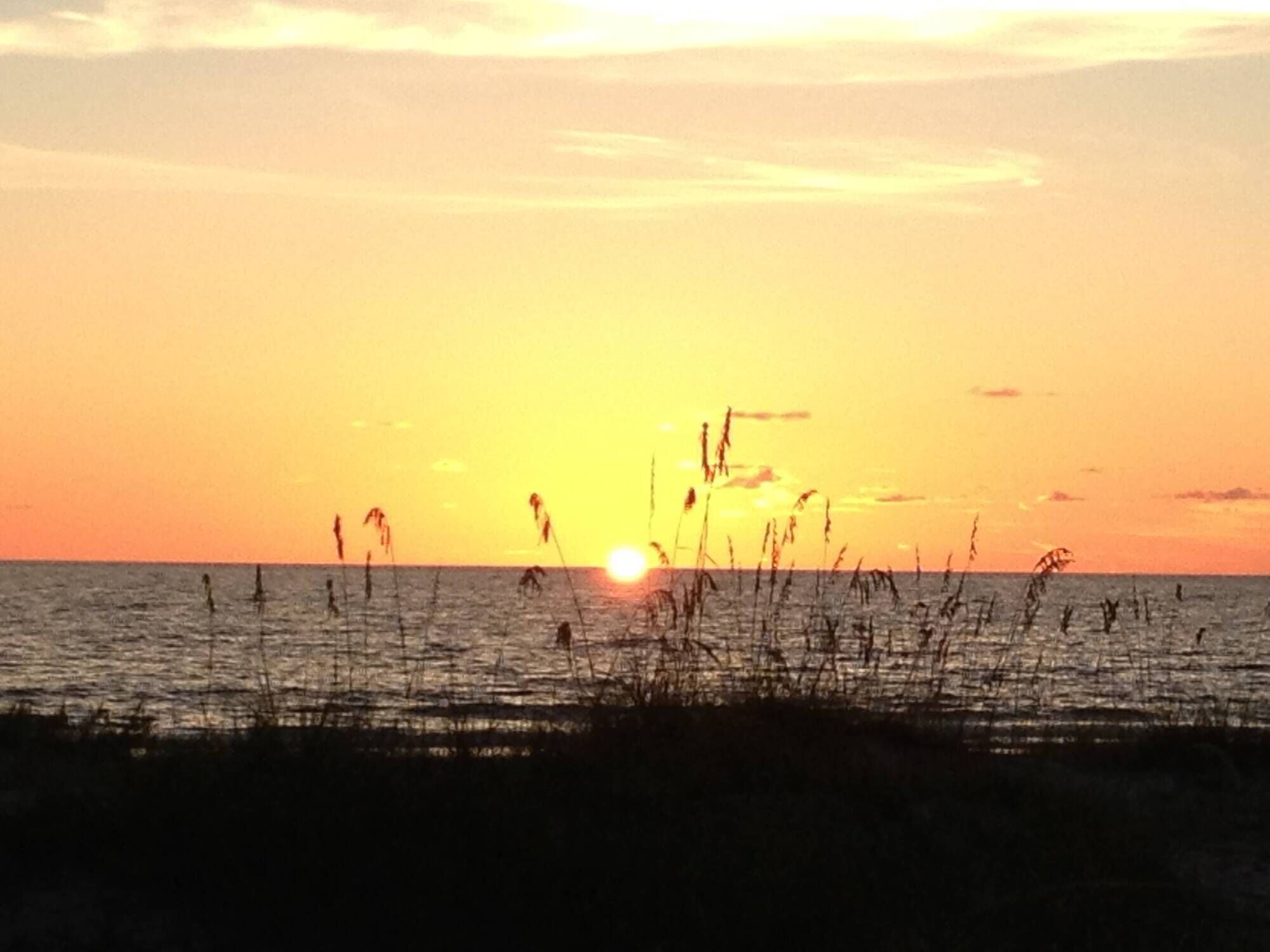 Un coucher de soleil sur une étendue d’eau, avec de hautes herbes au premier plan.