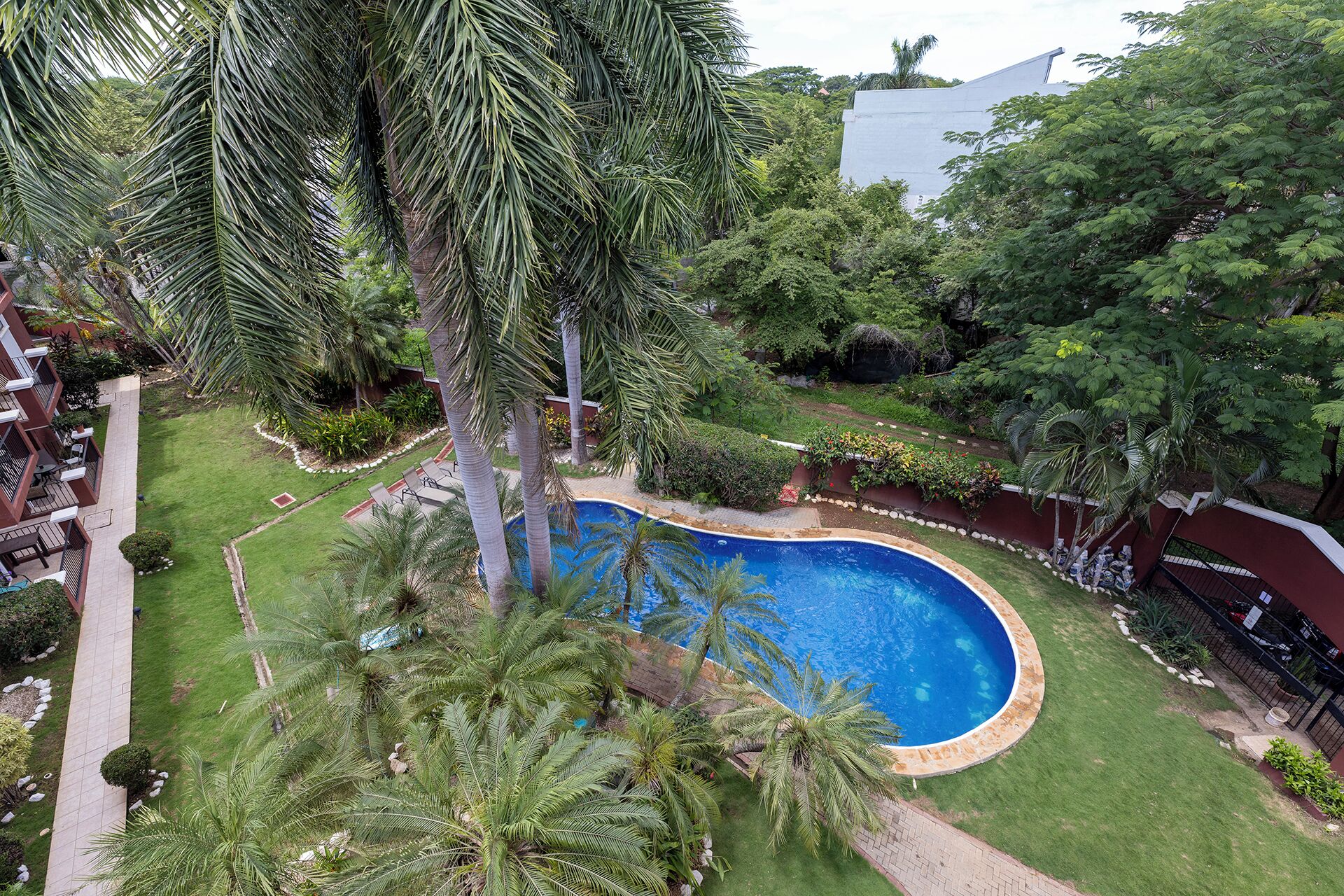 Un quartier résidentiel doté d’une piscine entourée de palmiers et d’une pelouse bien entretenue.