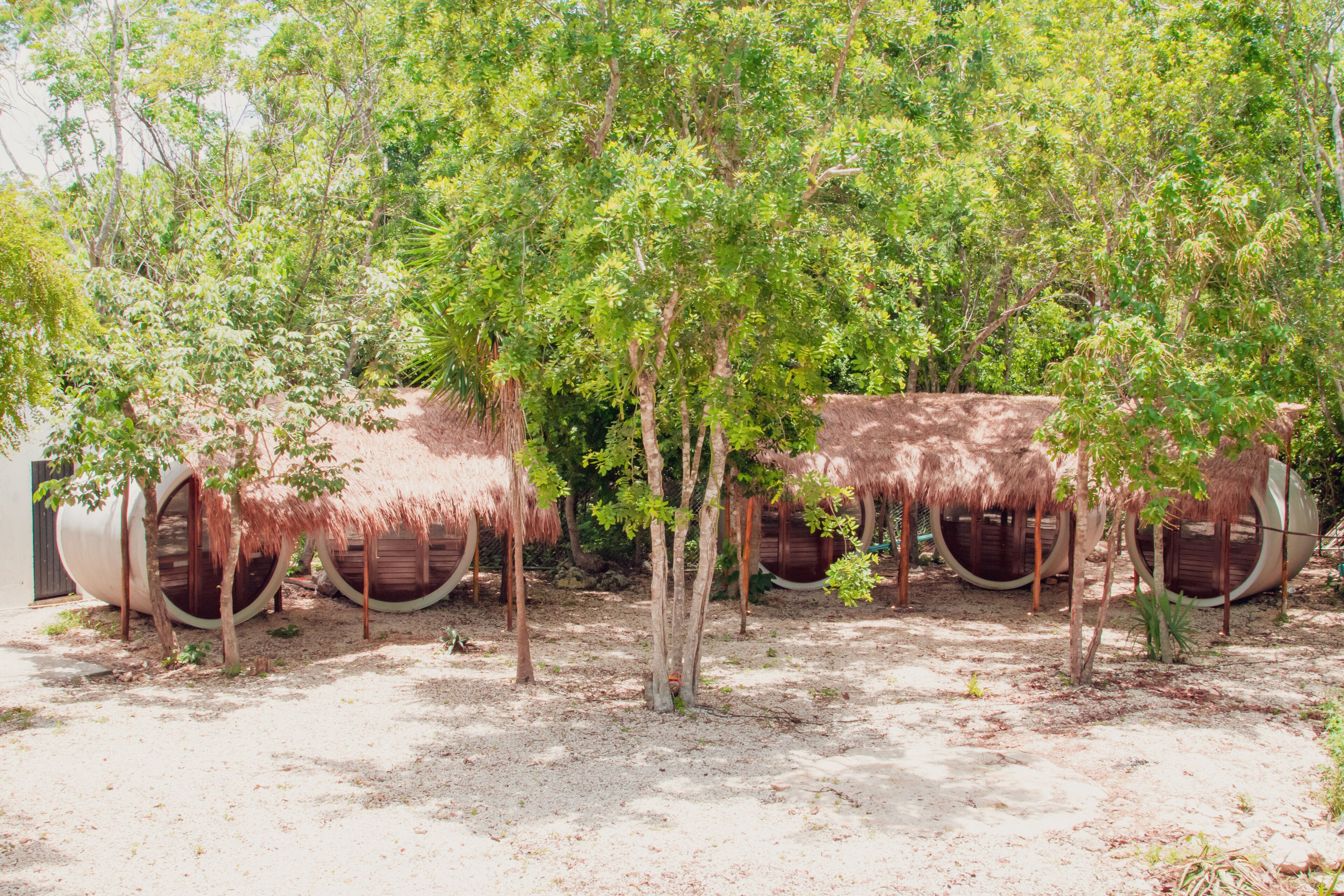 Una hilera de estructuras cilíndricas con techos de paja rodeada de árboles en una zona arenosa.