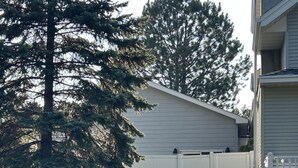Un barrio residencial con una casa, un gran árbol de hoja perenne y una valla blanca.