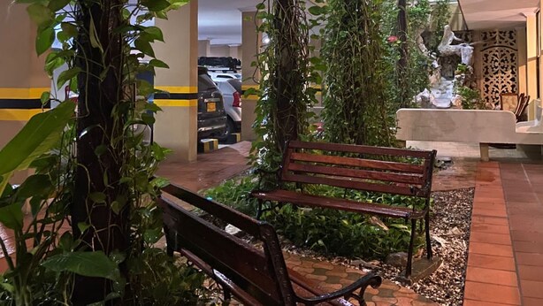An indoor garden area with benches and climbing plants. - Hotel San Francisco (Barranquilla)