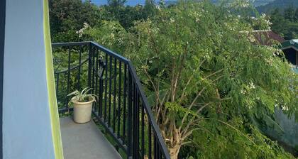NIZA’S PLACE—Cozy Mountainside Villa with Ocean view.
