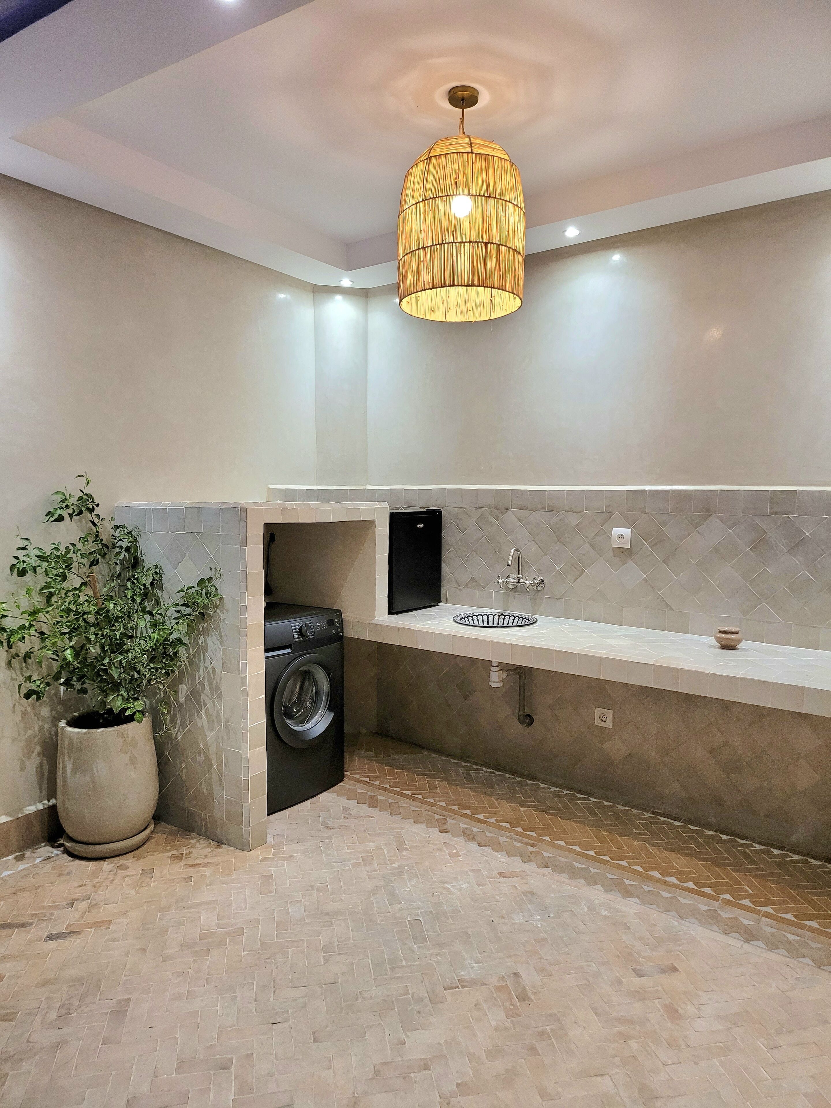 A modern kitchen with a built-in washing machine, a sink, and a potted plant.