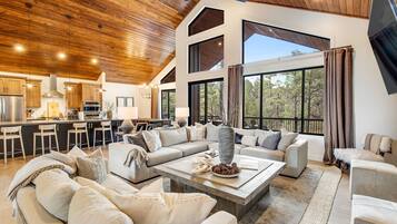 Télévision, cheminée, livres