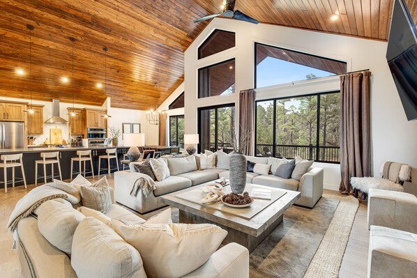 テレビ、暖炉、書庫