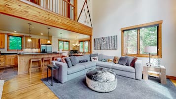 TV, fireplace, books