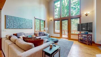 TV, fireplace, books