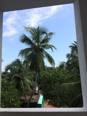Guests can enjoy a serene view of the tropical garden from the comfort of their room.