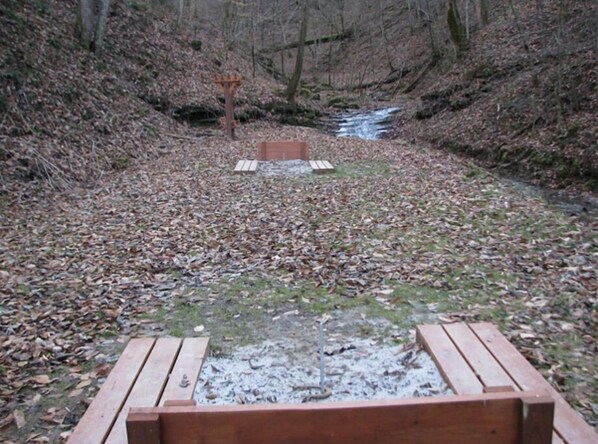 A wooden bench in a forest clearing with a small stream and leaf-covered ground. - 3BR, 2 Bath Cabin with full kitchen, living room, hot tub and spacious backyard. (Putney)