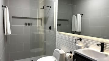 Shower, hair dryer, towels
