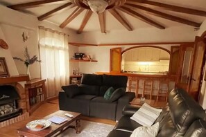 Smart TV, fireplace, books, computer monitors