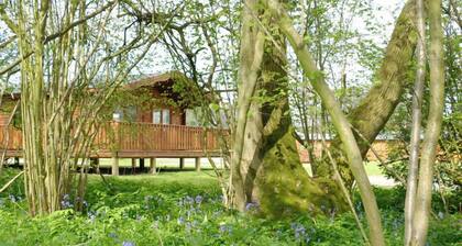 2 bedroom, 5 star, award winning Scandinavian Lodge (sleeps 4)