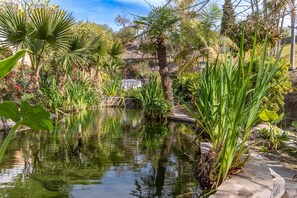 A serene garden with a pond, lush greenery, and a stone pathway. - Tetuan 40 - El Oasis de Capistrano! (Nerja)