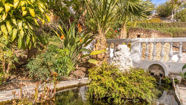 Ein Garten mit Steinbrücke, Teich und verschiedenen Pflanzen.