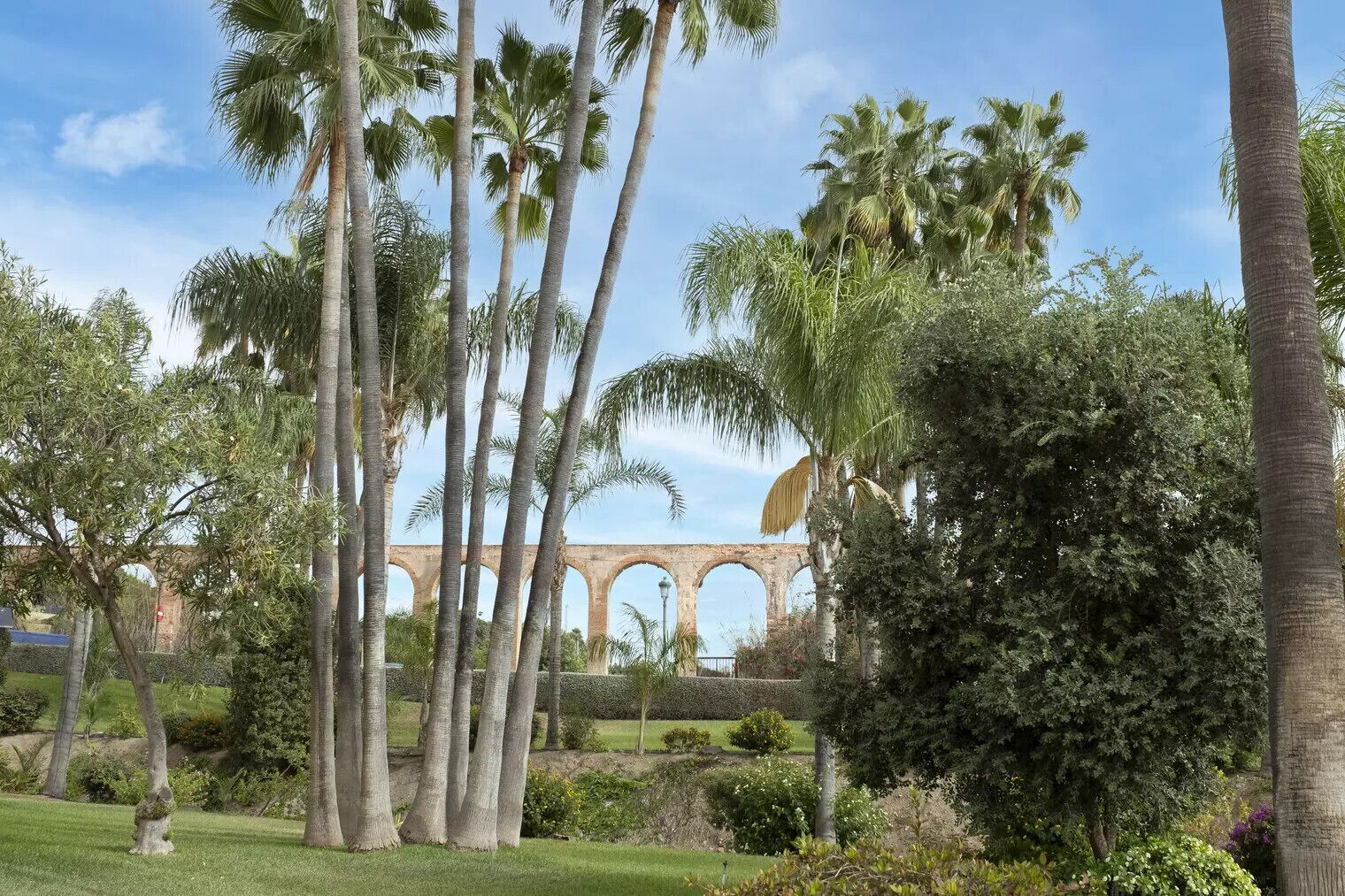 A garden with palm trees and a historical arch bridge in the background.
