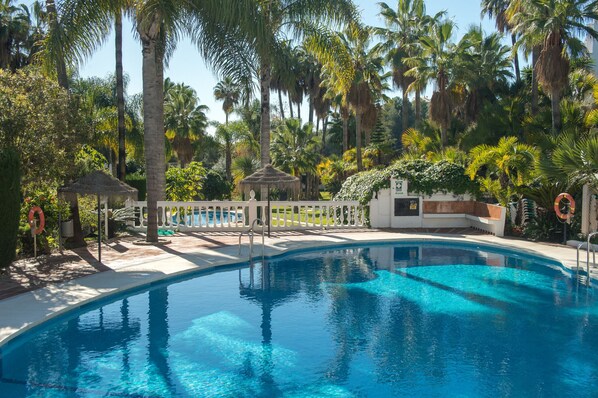 A swimming pool surrounded by palm trees and a white fence.