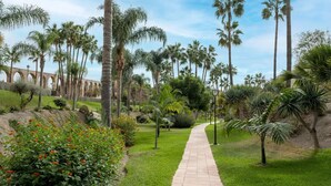A pathway lined with palm trees and a brick walkway leading to a building with arches in the background.