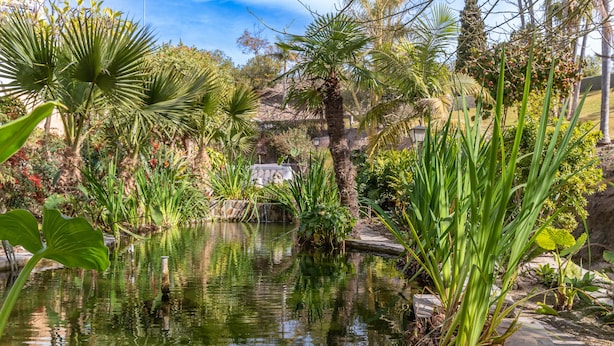 Un jardin paisible avec un étang, une végétation luxuriante et un sentier en pierre.