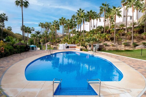 Une piscine à bord incurvé, entourée de palmiers et avec un bâtiment blanc en arrière-plan.