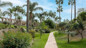 A pathway lined with palm trees and a brick walkway leading to a building with arches in the background. - Tetuan 11 - El Oasis de Capistrano! (Nerja)