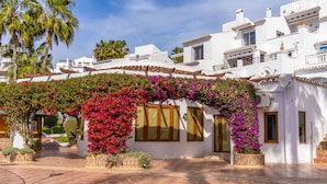 A white building with a tiled courtyard, a covered walkway with flowering plants, and a palm tree in the background. - Tetuan 42 - El Oasis de Capistrano! (Nerja)