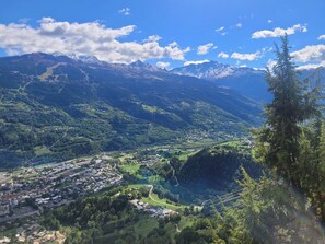 Aerial view - GITE DU RUISSEAU73 - BOURG SAINT MAURICE (BOURG SAINT MAURICE)