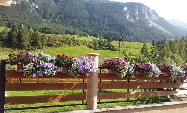 Property grounds - GITES DE LA VANOISE - LA GRANDE CASSE (VAL-CENIS)
