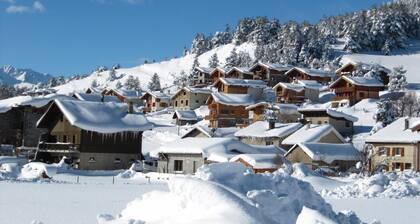 LA SYMPHOROSE - LE TETRAS