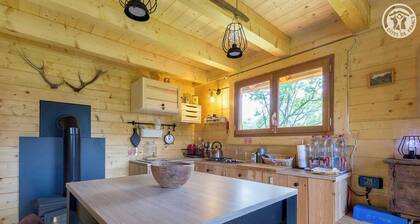 Cabane Du Plan De L'aigle