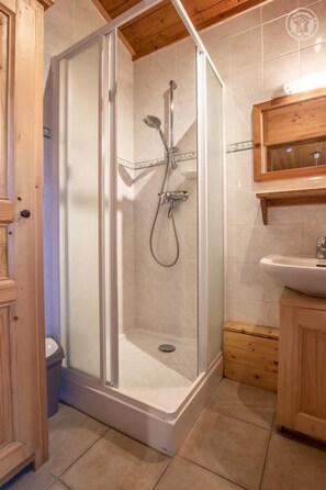 Shower, hair dryer - L'ABERU - LES NARCISSES (CREST VOLAND COHENNOZ)