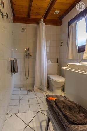 Shower, hair dryer, towels - CHALET GRAND ARC - SAINT PIERRE D'ALBIGNY (SAINT PIERRE D'ALBIGNY)