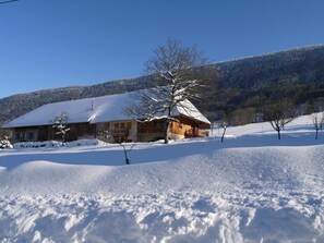 Esterni