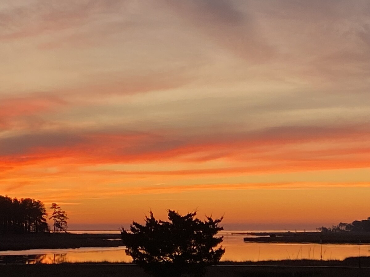 Imagen de perfil del propietario o de la propietaria