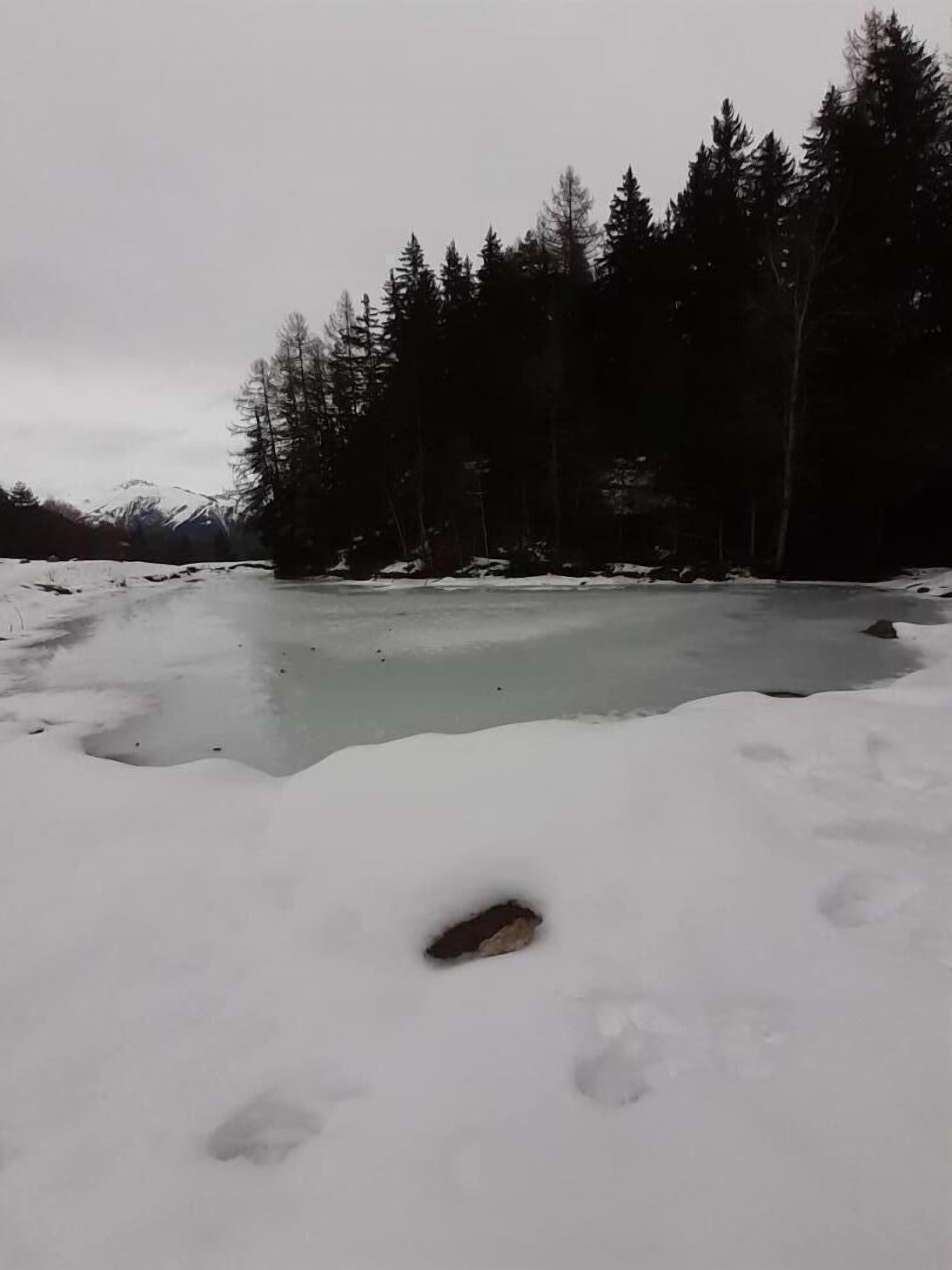 A snowy landscape with a frozen pond and a forest in the background.