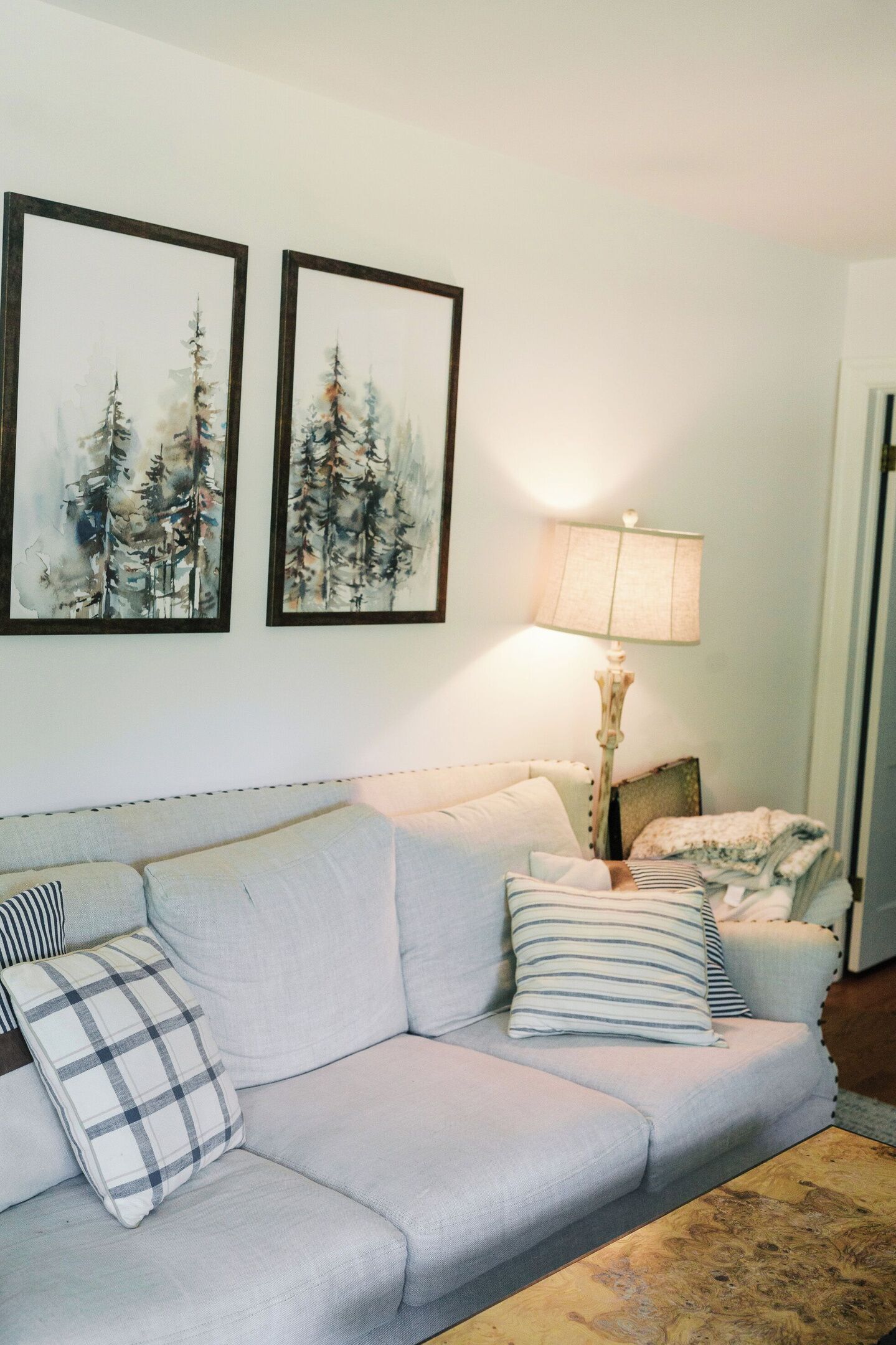 TV, fireplace, books