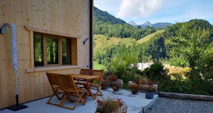ROCHE PLANE - BEAUFORT ARECHES