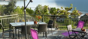 L'ARDUINA - BRISON SAINT INNOCENT