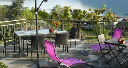 L'ARDUINA - BRISON SAINT INNOCENT