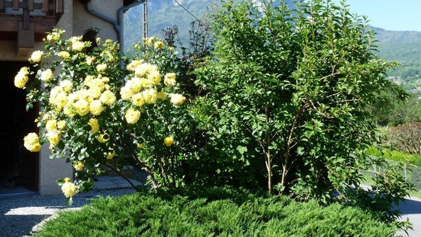 A building with a balcony, a garden with yellow flowers, and a mountain in the background. - LA FONTANETTE - PORTE DE SAVOIE (PORTE DE SAVOIE)
