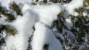 A snow-covered building with a traditional architectural style, surrounded by evergreen trees. - L'ORCHIS VANILLÉ - VAL-CENIS (VAL-CENIS)