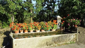 Terrein van de accommodatie