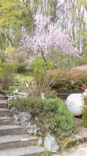 LE PECHER MIGNON - LEPIN LE LAC