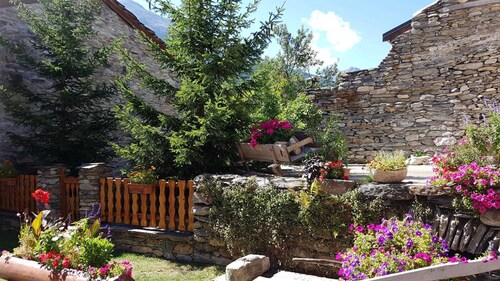 L'OURS BRUN - VAL-CENIS