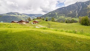 Ländliche Landschaft mit einer kleinen Siedlung aus Holzhäusern an einem Hang, umgeben von üppigen grünen Feldern und Bergen im Hintergrund.