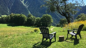 Eine malerische Außenanlage mit zwei Adirondack-Stühlen, einem Baumstumpf und einem Baum.